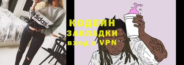 хмурый Бородино