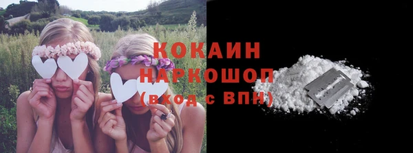 хмурый Бородино