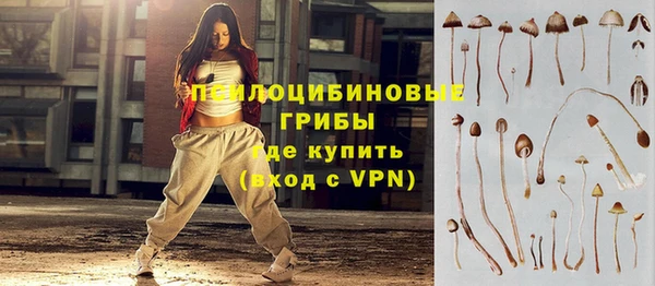 хмурый Бородино
