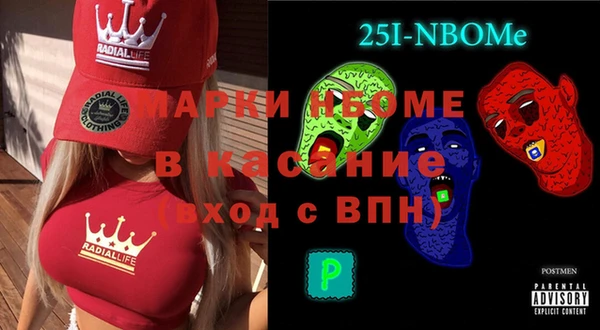 хмурый Бородино