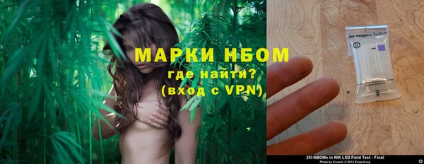 хмурый Бородино