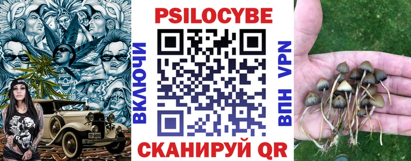 Галлюциногенные грибы мухоморы  как найти наркотики  Балашиха 
